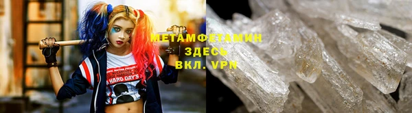 индика Белокуриха