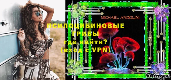 индика Белокуриха