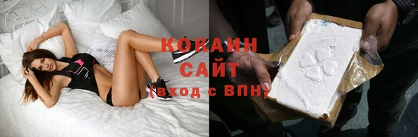 индика Белокуриха