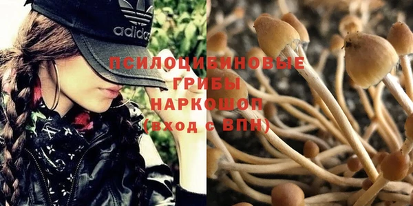 метадон Беломорск