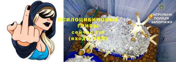 метадон Беломорск