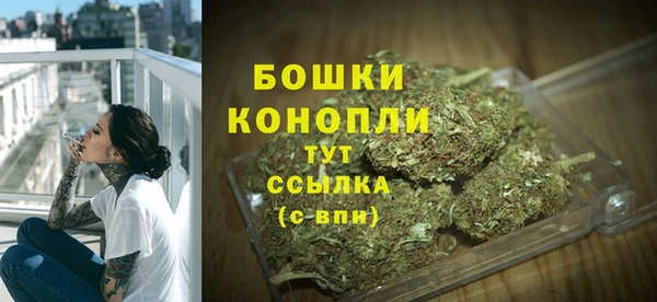 индика Белокуриха