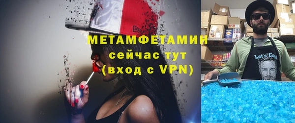 индика Белокуриха
