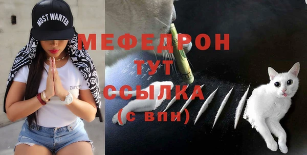 индика Белокуриха