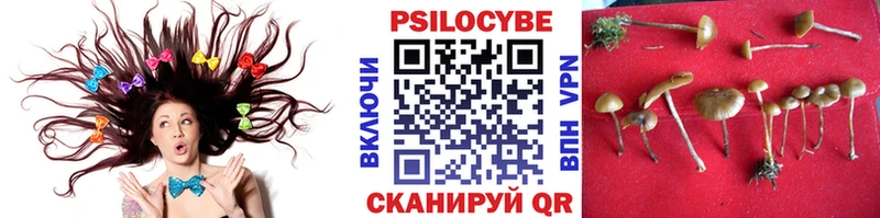 Галлюциногенные грибы Psilocybine cubensis  цены наркотик  Ялта 
